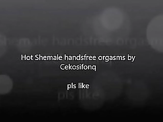 sexy shemale stroking cock on webcam