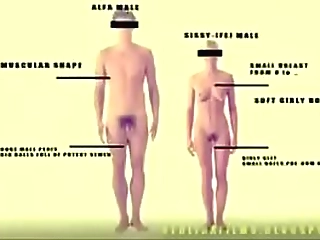 blonde busty ts lara stroking her long dick