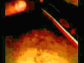 exotic shemale and brazilian tranny girls, oh my!