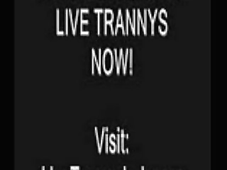 fuck with a ladyboy in bkk