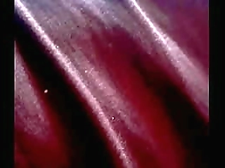 hot and shemale takes a solid, big cock in her tight ass