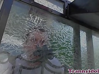 gorgeous ladyboy facialized after sucking