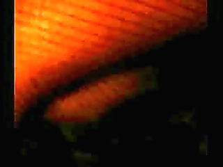 horny bruninha almeida sucking and flip fucking nicely