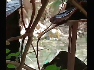 hot ladyboy s blowjob turns into hardcore anal sex