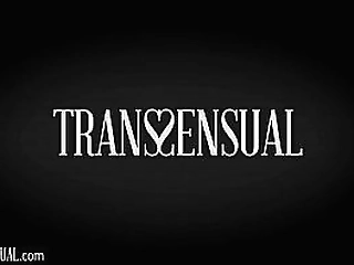 transsensual casey kisses comforted by lovers cock