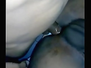 rabeche rayala in house of she males 12