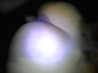 petite asian ladyboy cindy crams her gape and wanks off