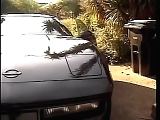 brazilian shemale knows how to give prober head to this horny dude