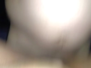 slutty shemales in fishnets fuck like doggies