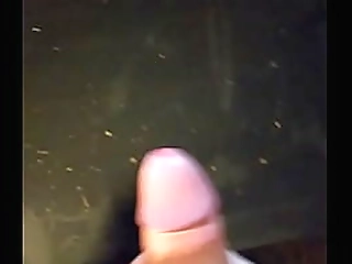 vini s active and passive anal session with short hair shemale brisa