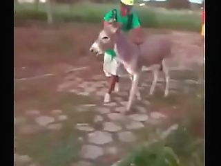 cute barbara perez topping latin stud alex victor