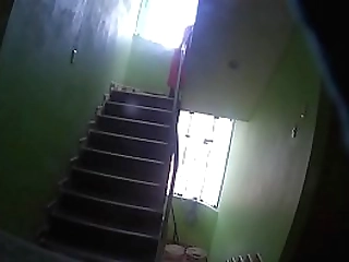 purple lingerie full of hard ladyboy dick