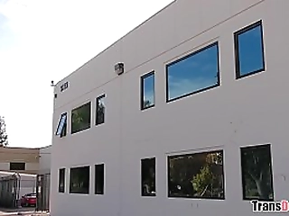 young intern fucks his tranny boss