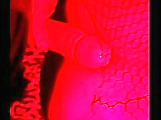 icy, beautiful, hot shemale - big cock