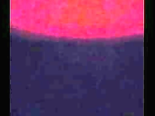 shemale kimberly devine dig gay's asshole vol2