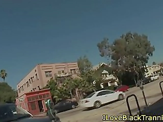 shemale ebony babe drills tight asshole