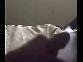 sexy big dick shemale blows big load on canera