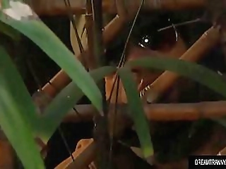 sultry tranny nicolly pantoja catches a peeping tom and makes him blow her