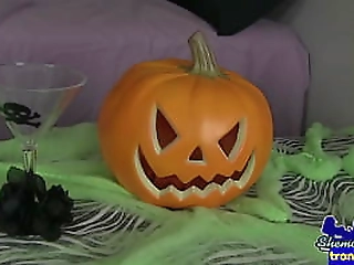 gorgeous shemale babe strips down and wanks