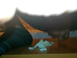 shemales orgy at pool party with adryella vendramine, alexia firenze, and aman